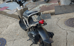 HONDA ZUMAR AF58