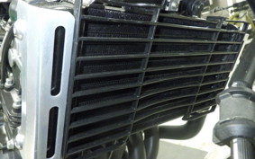 HONDA HORNET 250 2011 MC31