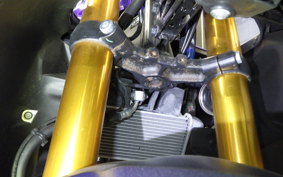 YAMAHA YZF-R15 RG86J