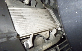 YAMAHA YZF-R15A 1998 RG86J