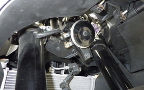 YAMAHA YZF-R25 A 2002 RG43J