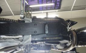 TRIUMPH TF250-E 2014