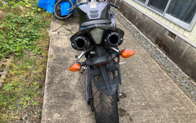 YAMAHA YZF-R1 2009 RN20