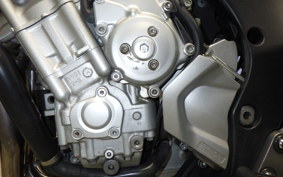 YAMAHA FZ1 FAZER 2009 RN21J