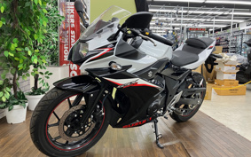 SUZUKI GSX250R DN11A