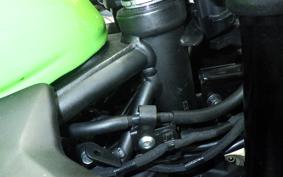 KAWASAKI ZX-4RR 2023 ZX400P