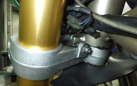 DUCATI DUCATI MS4RS TESTASTRETTA 2008