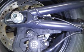 HARLEY RH1250S 2024