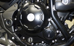 KAWASAKI Z650 RS 2024 ER650R