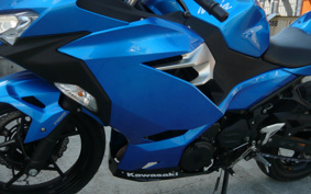 KAWASAKI Ninja 250 ABS EX250P