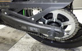 KAWASAKI ZX-4RR 2025 ZX400P