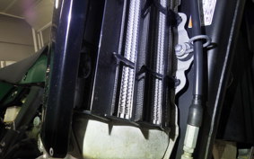 KAWASAKI KLX250D TRACKER X 2007 LX250V