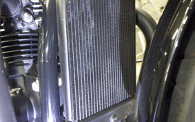TRIUMPH BONNEVILLE T120 2021