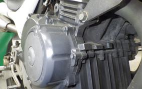 HONDA HORNET 250 2010 MC31