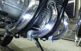 KAWASAKI 250SS 2010 S1F