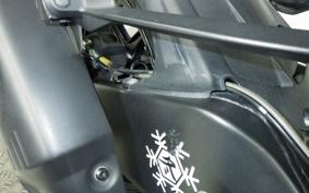 KAWASAKI NINJA ZX-6R A 2019 ZX636G