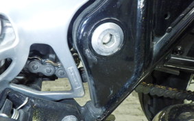 KAWASAKI W800 2017 EJ800A