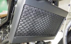 HONDA REBEL 250 S MC49