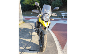 SUZUKI STROM 250ABS DS11A