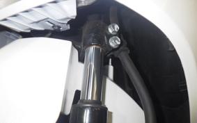 HONDA ﾀﾞﾝｸ 2022 AF74