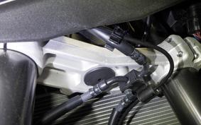 KAWASAKI NINJA1100SX 2025