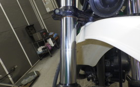 KAWASAKI 250TR 2020 BJ250F