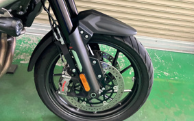 TRIUMPH TIGER 1200GTEKUSUP 2024 TAP24V