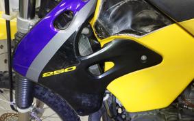 SUZUKI RMX250 2020 PJ13A