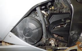 KAWASAKI NINJA 250 EX250L
