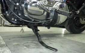 HARLEY XL1200XS 2018