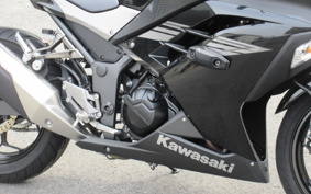 KAWASAKI NINJA 250 EX250L