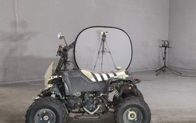 OTHER  BUGGY 50CC ..