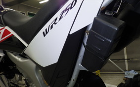 YAMAHA WR250R DG15J