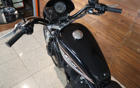 HARLEY XL883R 2007 CS2