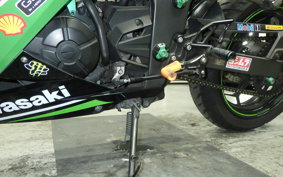 KAWASAKI NINJA 250 2010 EX250L