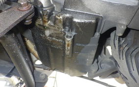 HONDA FORZA 250 S 1994 MF06