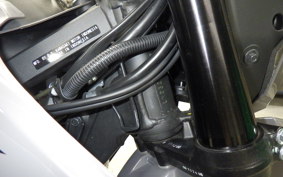KAWASAKI KLX230 SM 2013 LX232A