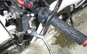 YAMAHA WR250X DG15J