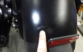 HARLEY XL883N 2021