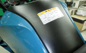 KAWASAKI Z125 PRO 1991 BR125H