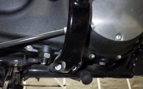 HARLEY XL883N 2021
