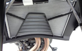 BMW F900XR BASE 2025 0R01
