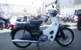 HONDA SUPER CUB50 C50