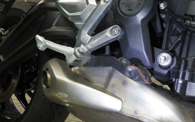 TRIUMPH TRIDENT 660 2024