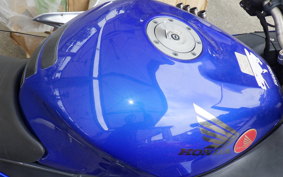 HONDA CBR1100XX 1999