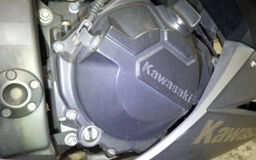 KAWASAKI NINJA 250 2018 EX250L