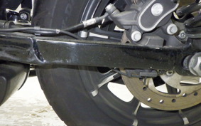 HARLEY XL1200NS 2019