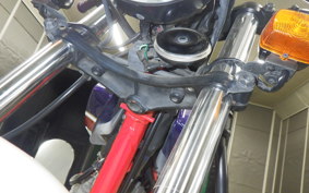 HONDA FTR223 2006 MC34