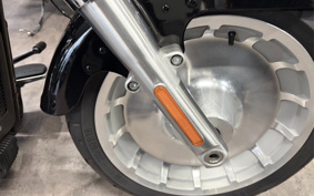 HARLEY FLFBS 2021 YGK