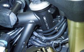 YAMAHA TENERE 700 2026 DM13J